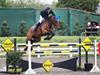 Broderick and Byrne start battling it out for pole position in the Horseware/TRM National Grand Prix League 2014