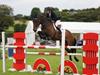 IRISH SPORT HORSE STUDBOOK TEAM ANNOUNCED FOR LANAKEN