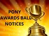 Ulster Region Pony Awards Auction List