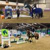 ** Victory for Smyth and Mc Entee in Portmore Equestrian Centre **