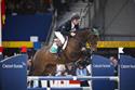 Irish Sport Horse Studbook Showjumping Series 2015