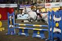 Cavan Home Pony International Marks End of Glittering Year for Pony Riders