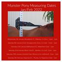 Munster Pony Measuring Dates Jan Feb 2022